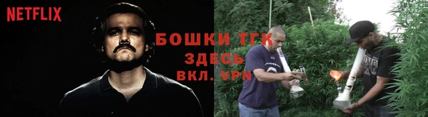дурь Надым