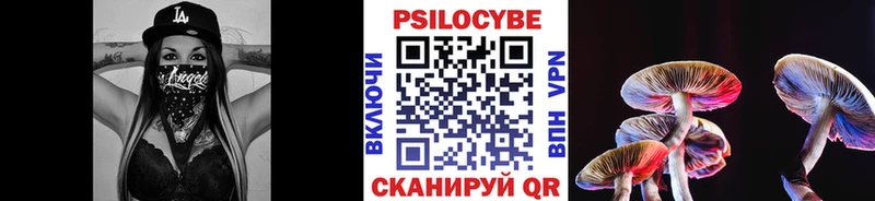 Купить  Сергач  Галлюциногенные грибы мицелий 